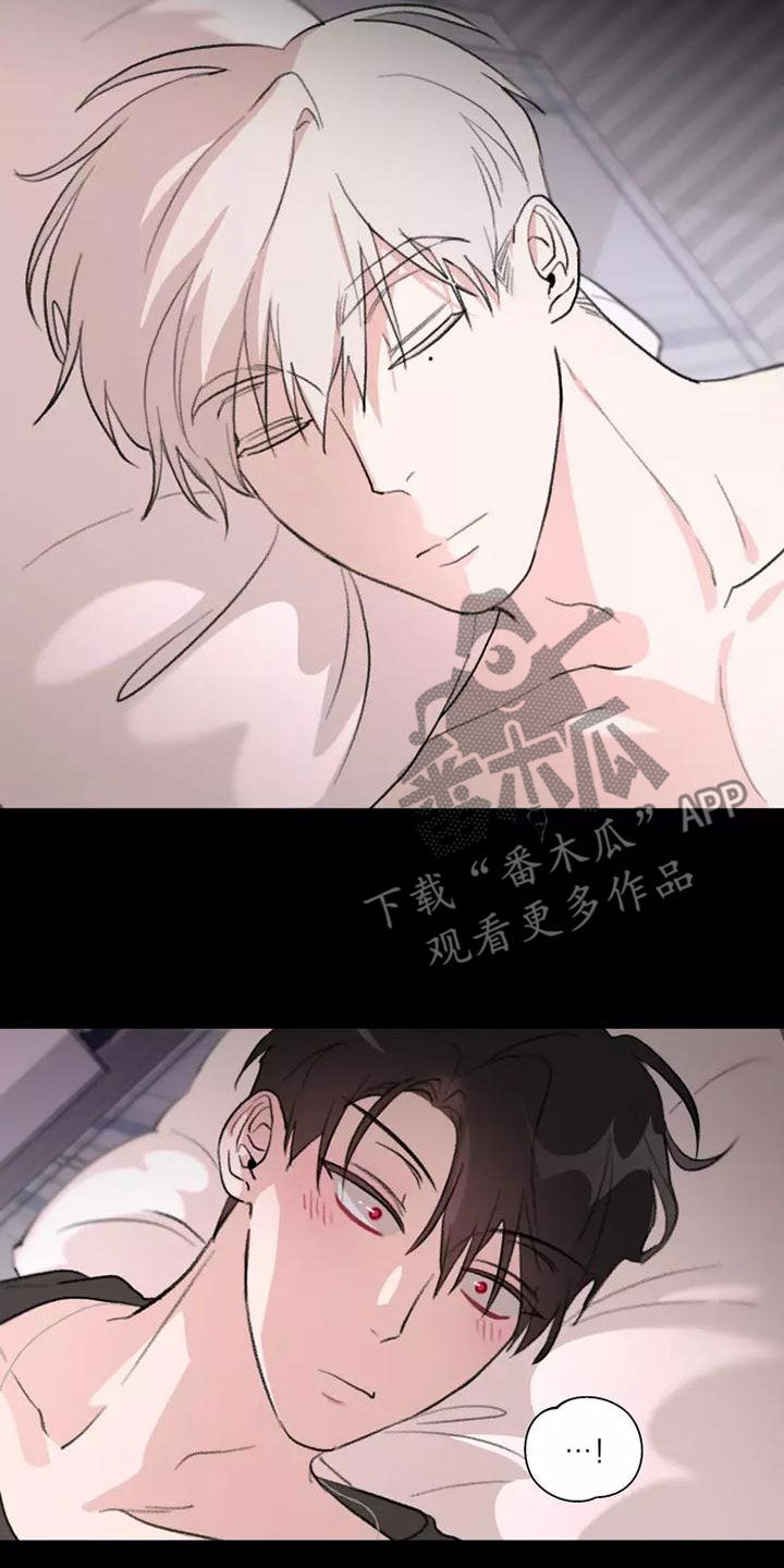 第17话：梦预览分镜