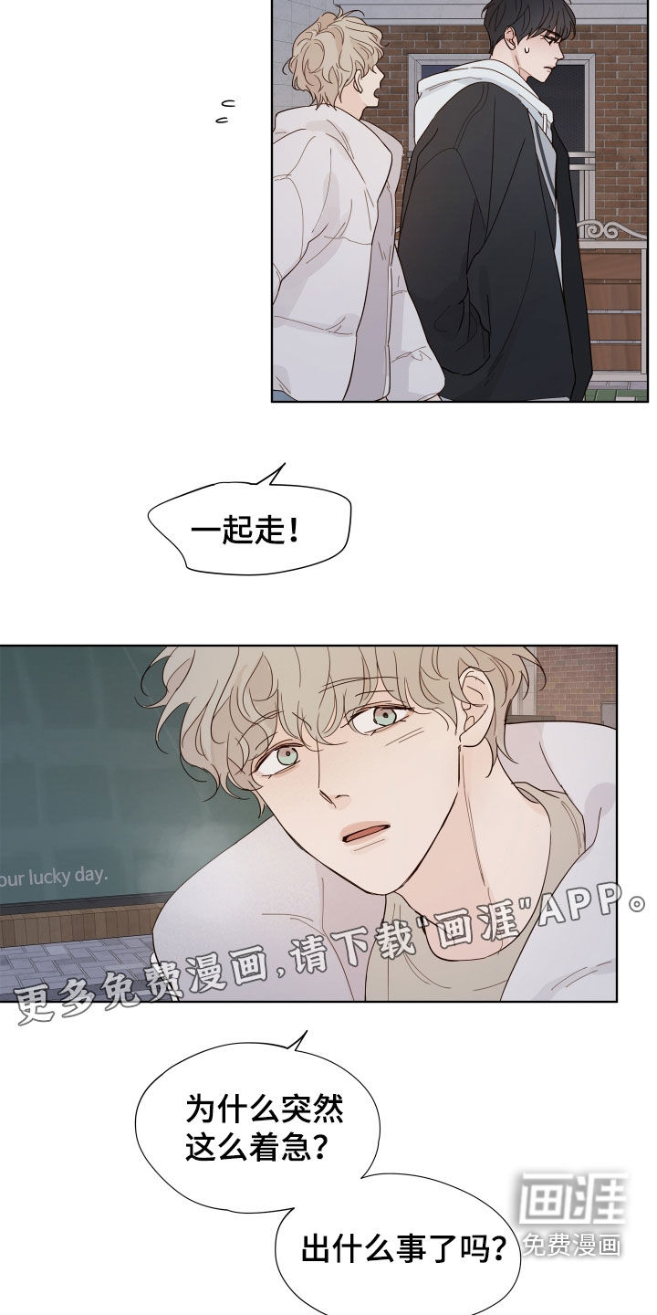 第16话：第16章：没抱期待预览分镜