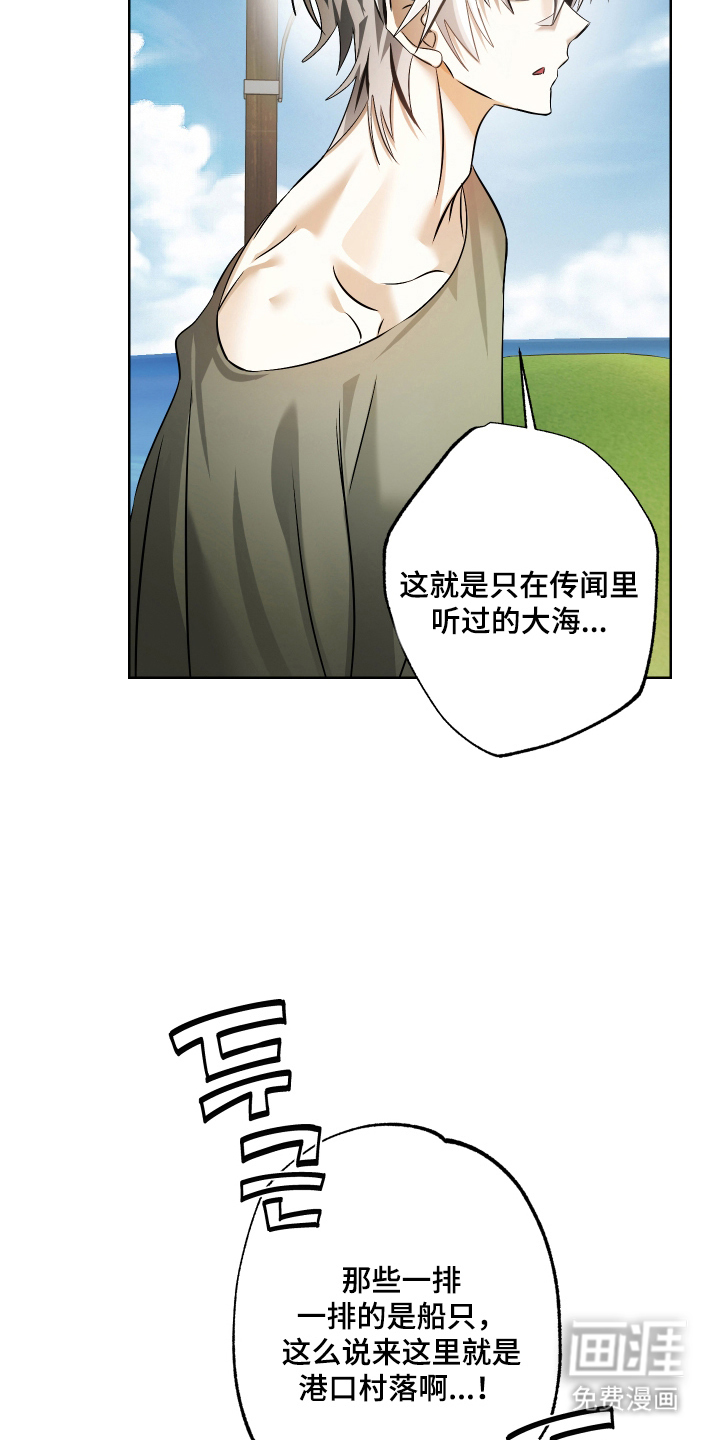 第4话：第4章：奇怪的小鬼预览分镜