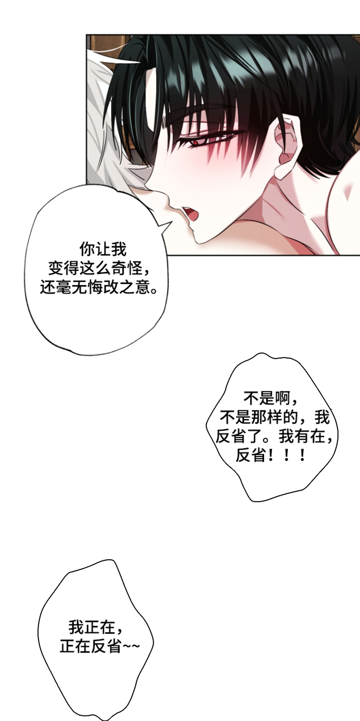 第12话：第12章：只有我能做到预览分镜