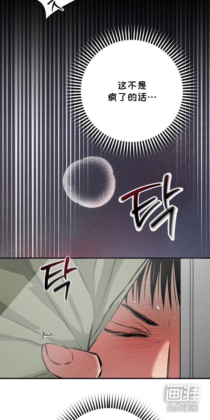 第8话：第8章：要疯了预览分镜