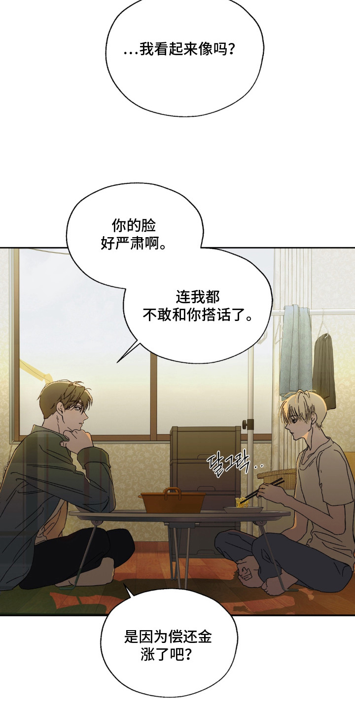 第5话：第5章：教训预览分镜