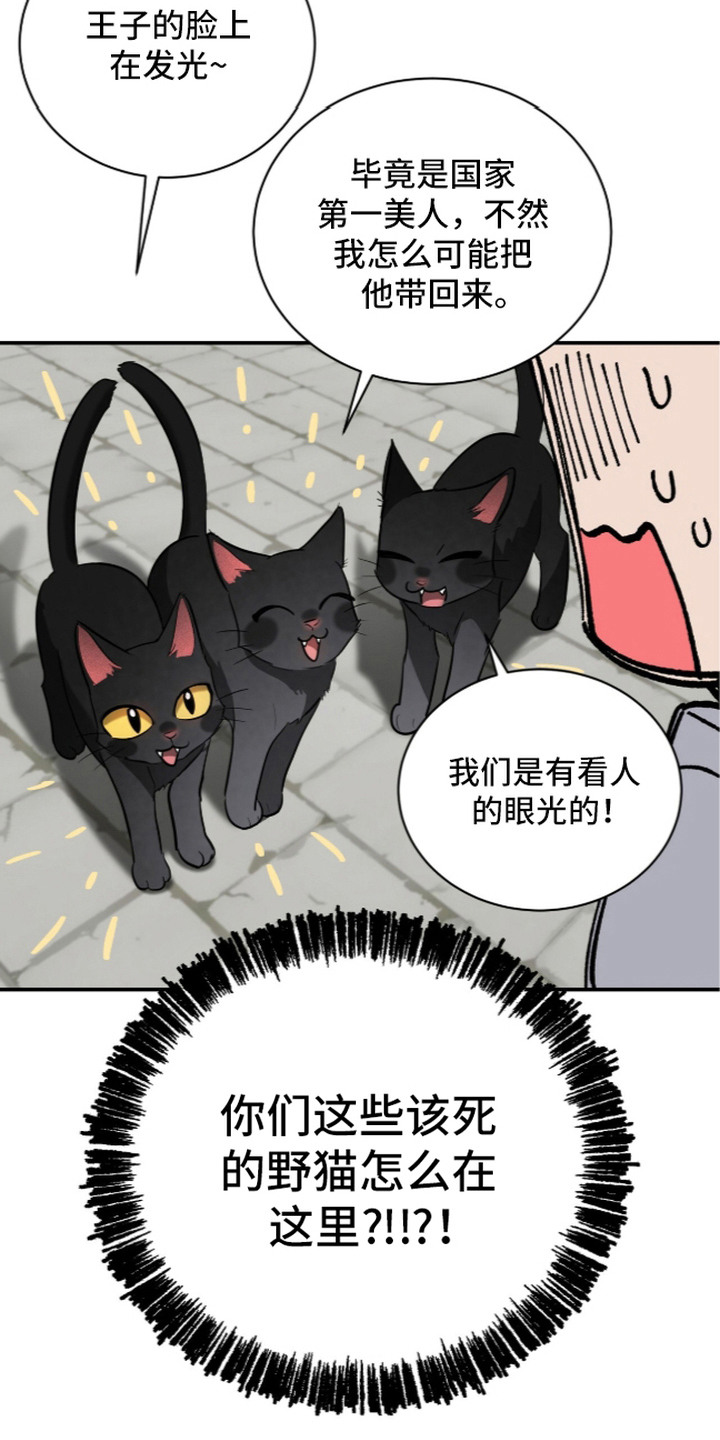 第14话：第14章：唯一选择预览分镜
