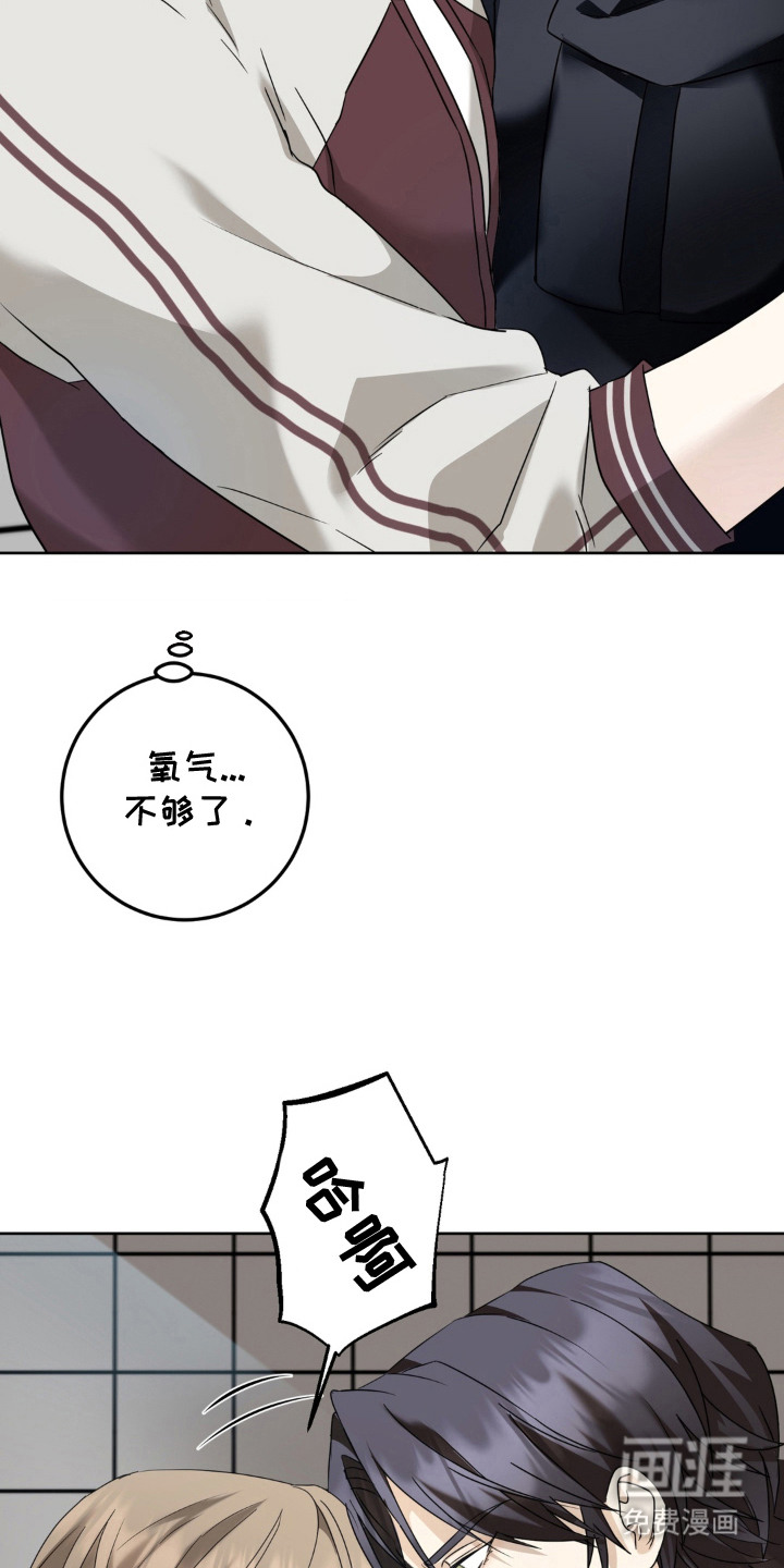 第8话：第8章：寻找答案预览分镜