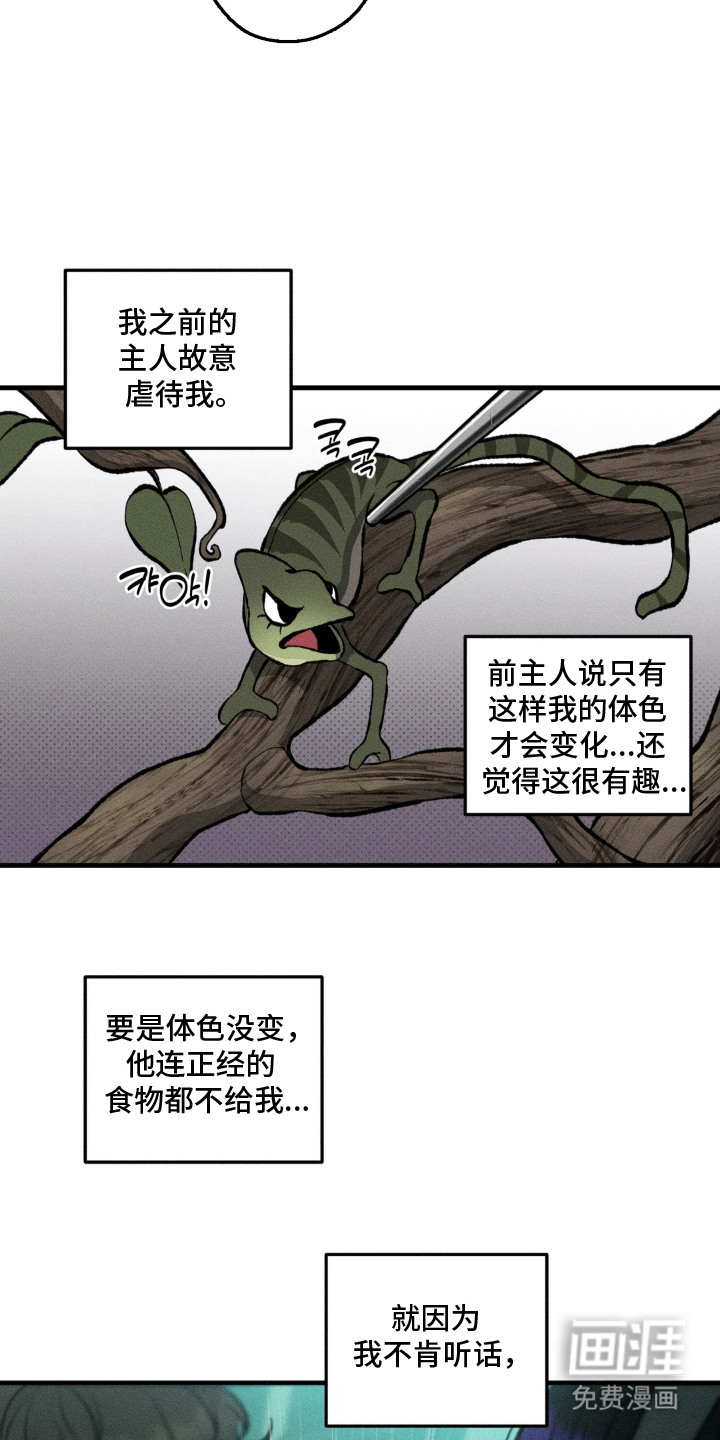 第10话：第10章：决定收养预览分镜