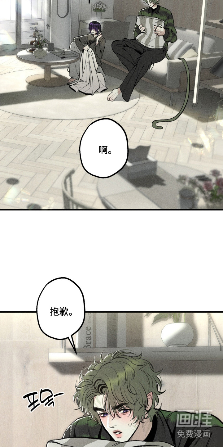 第15话：第15章：最珍贵之人（完结）预览分镜