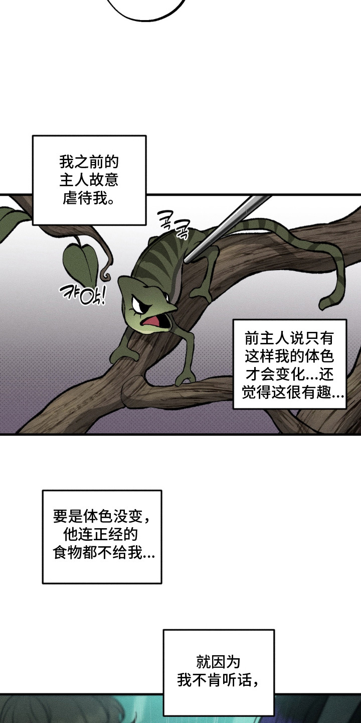 第12话：第12章：决定收养预览分镜