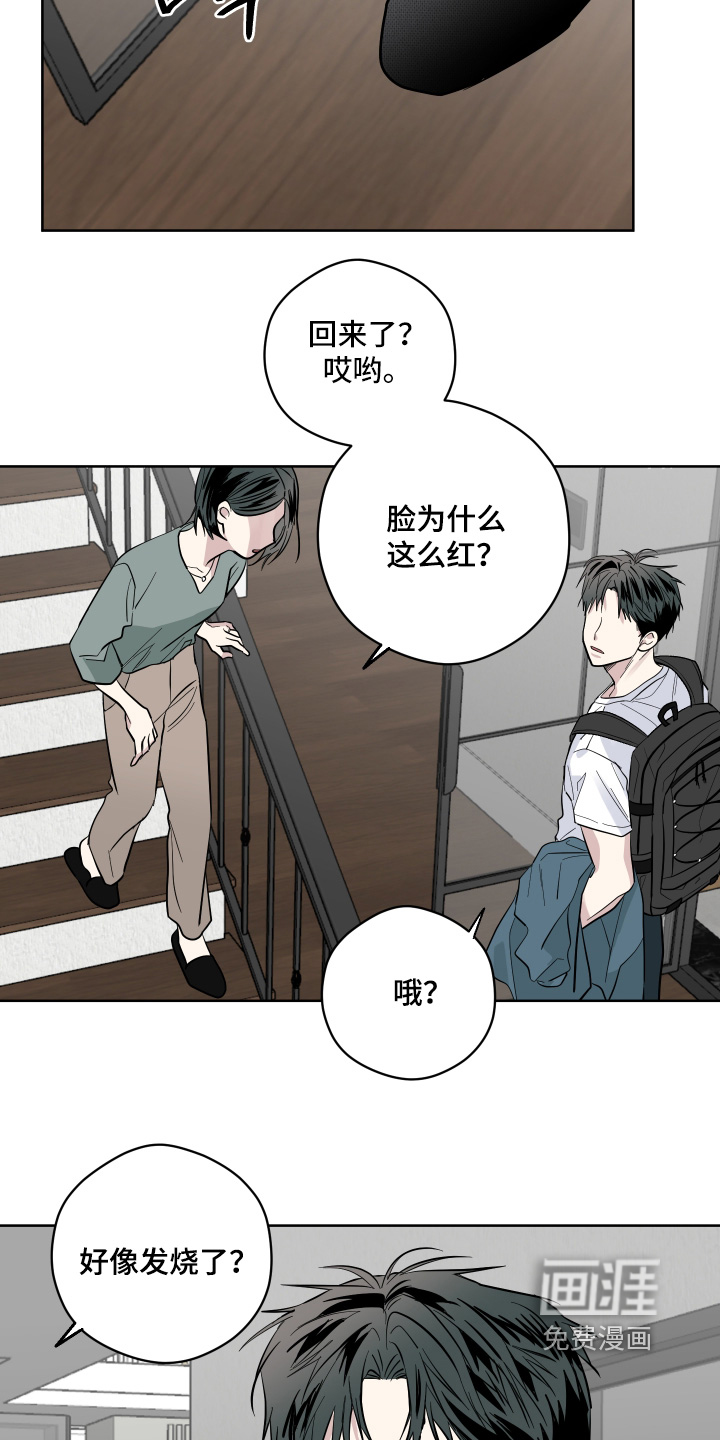 第15话：第15章：原来是梦预览分镜