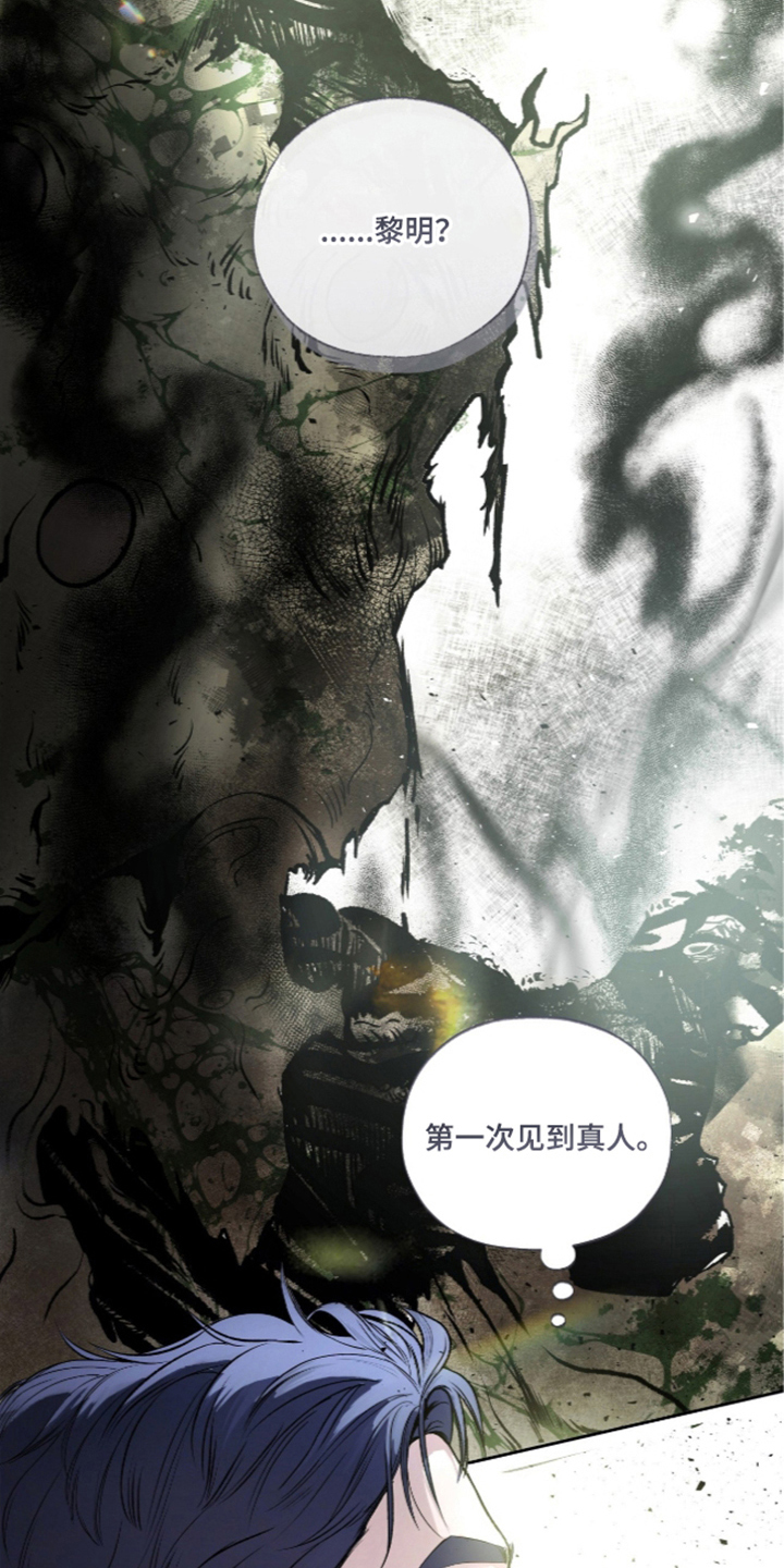 第3话：第3章：我的向导预览分镜