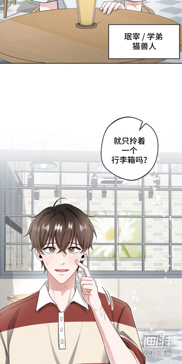 第8话：第8章：公园松鼠预览分镜