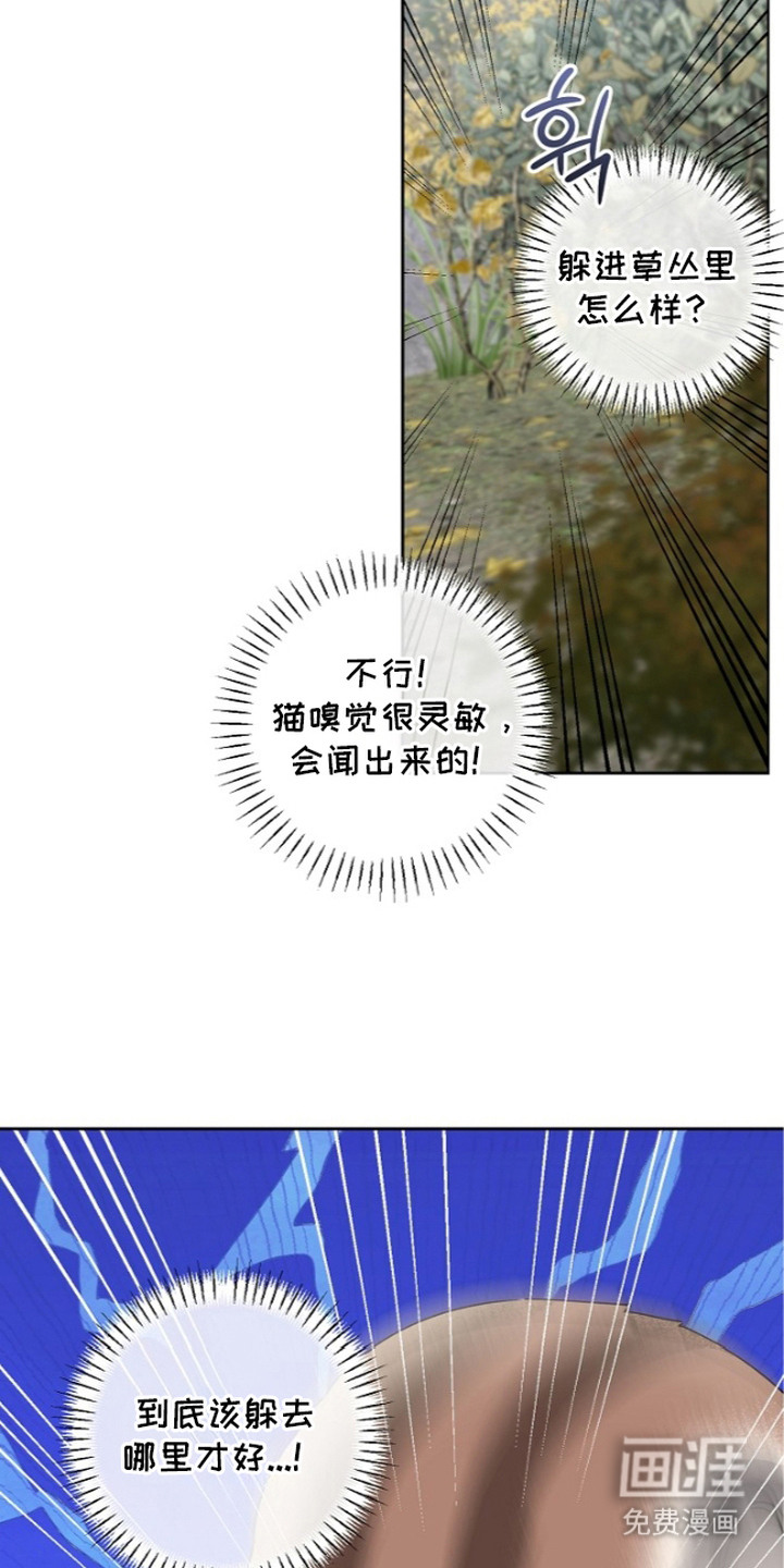 第13话：第13章：瑟瑟发抖预览分镜