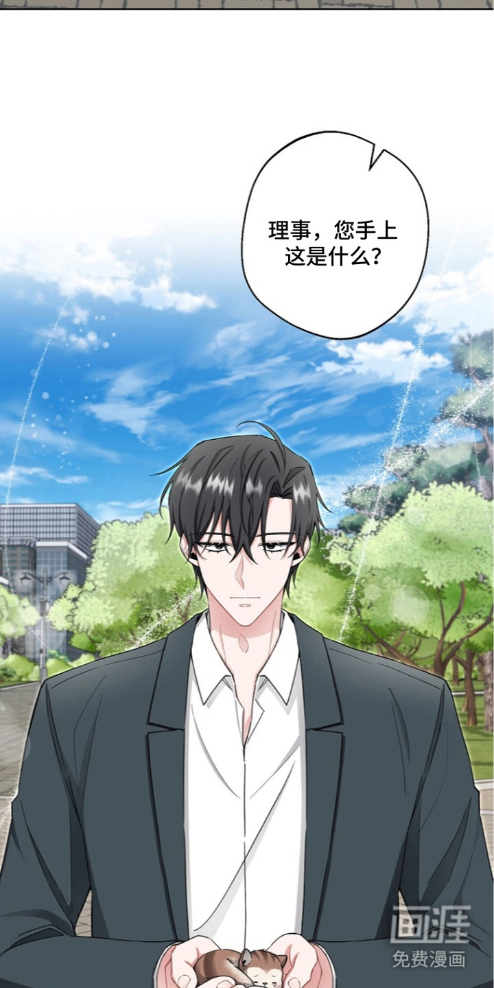 第14话：第14章：理事预览分镜