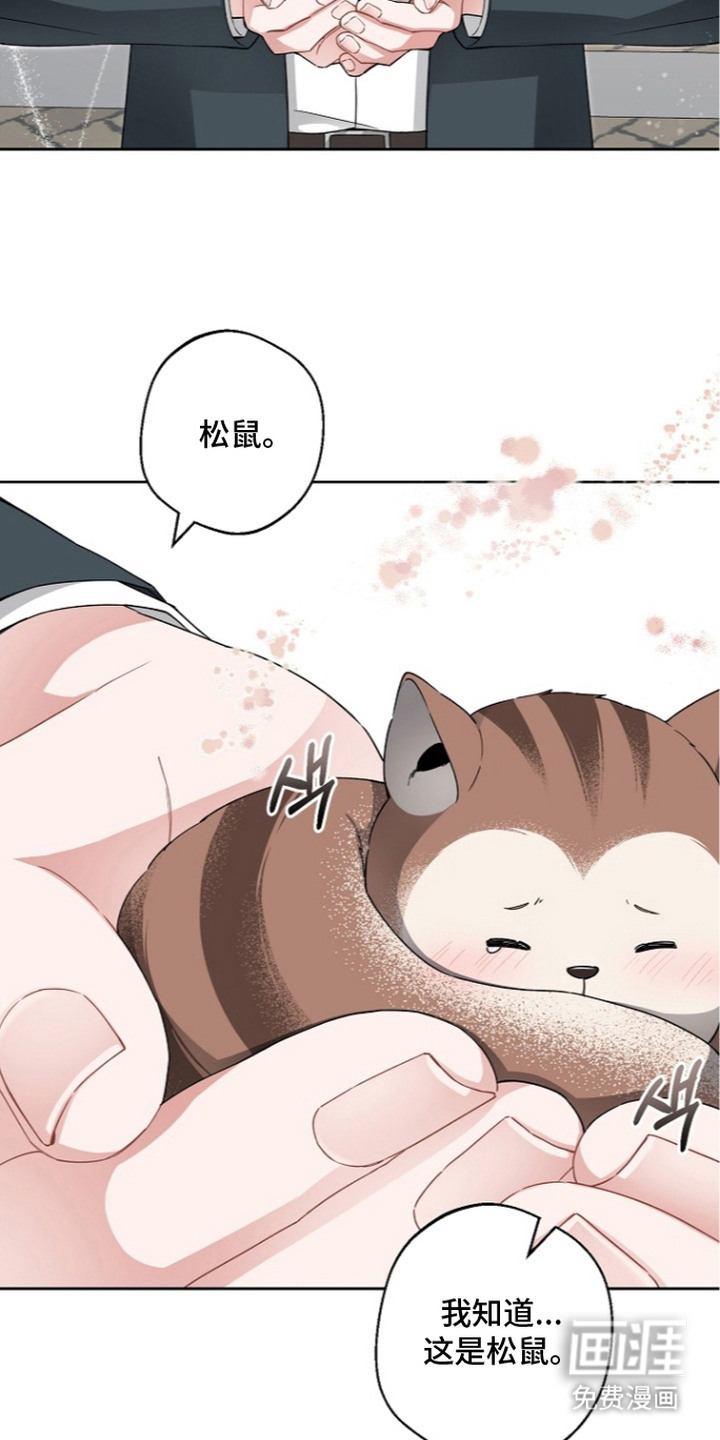 第14话：第14章：理事预览分镜