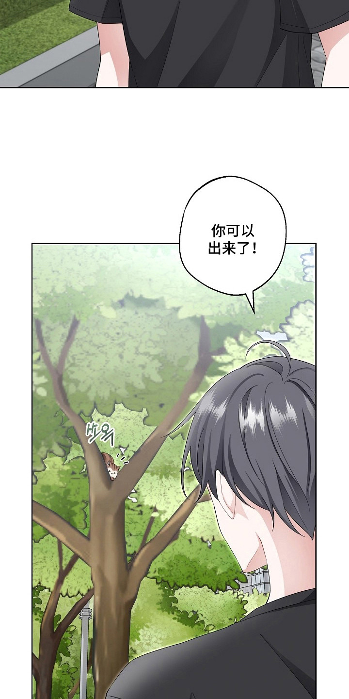 第11话：第11章：律师预览分镜