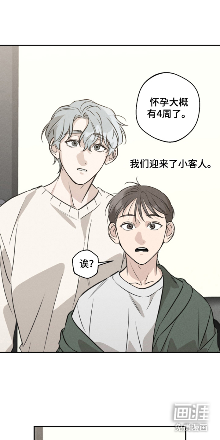 第15话：第15章：孕反预览分镜