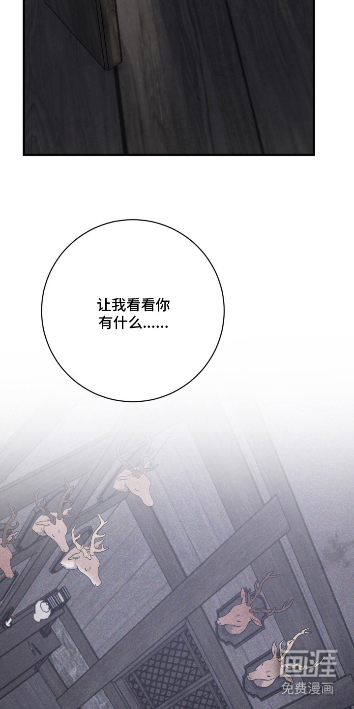 第3话：第3章：不正常预览分镜