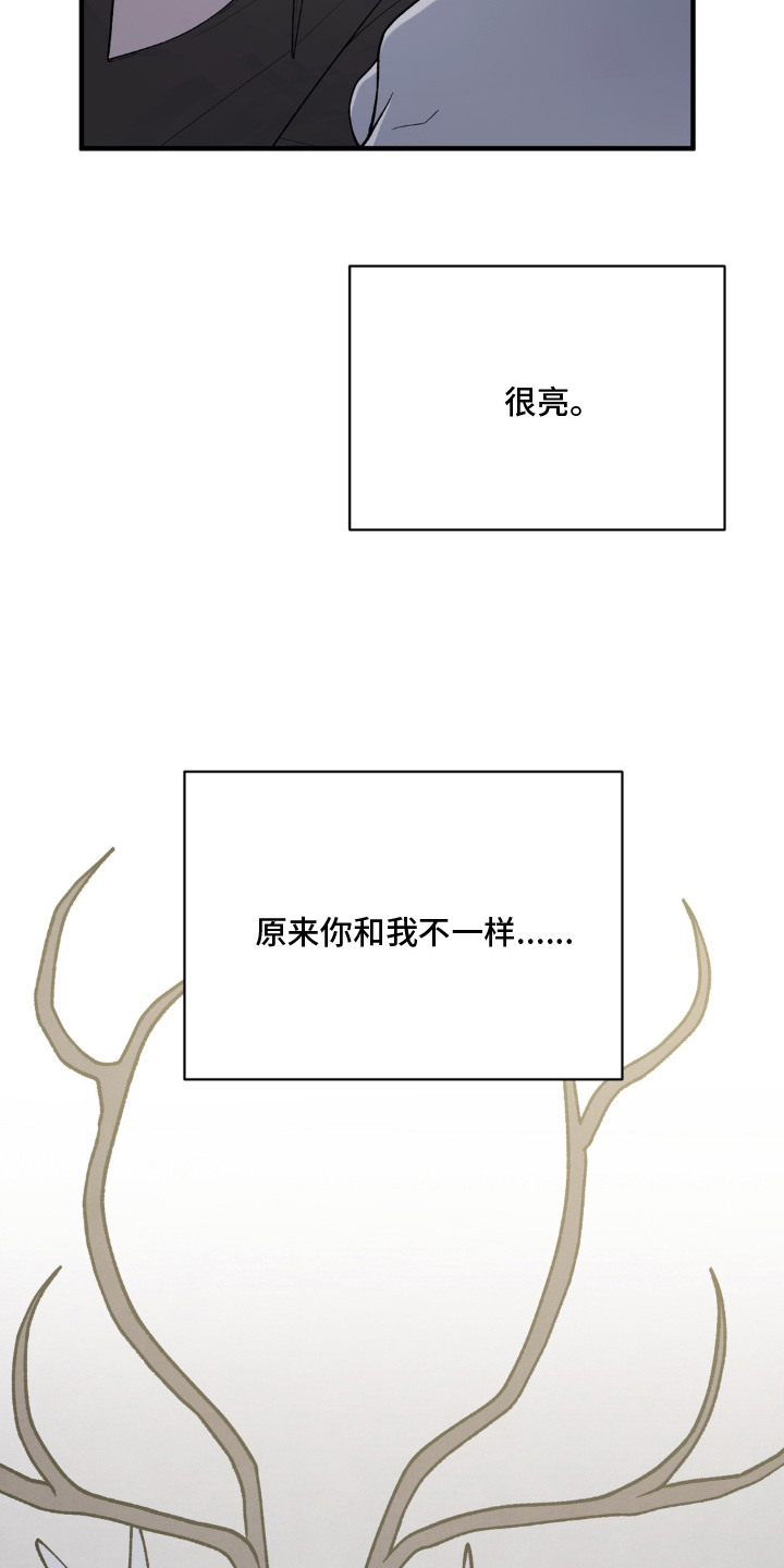 第18话：第18章：永远在一起（完结）预览分镜