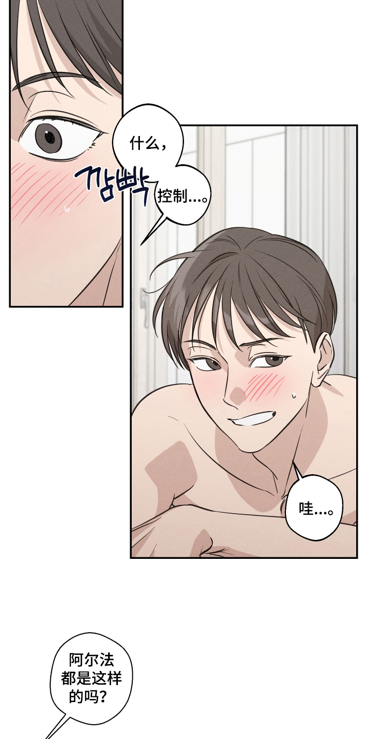 第14话：第14章：终于明白了预览分镜