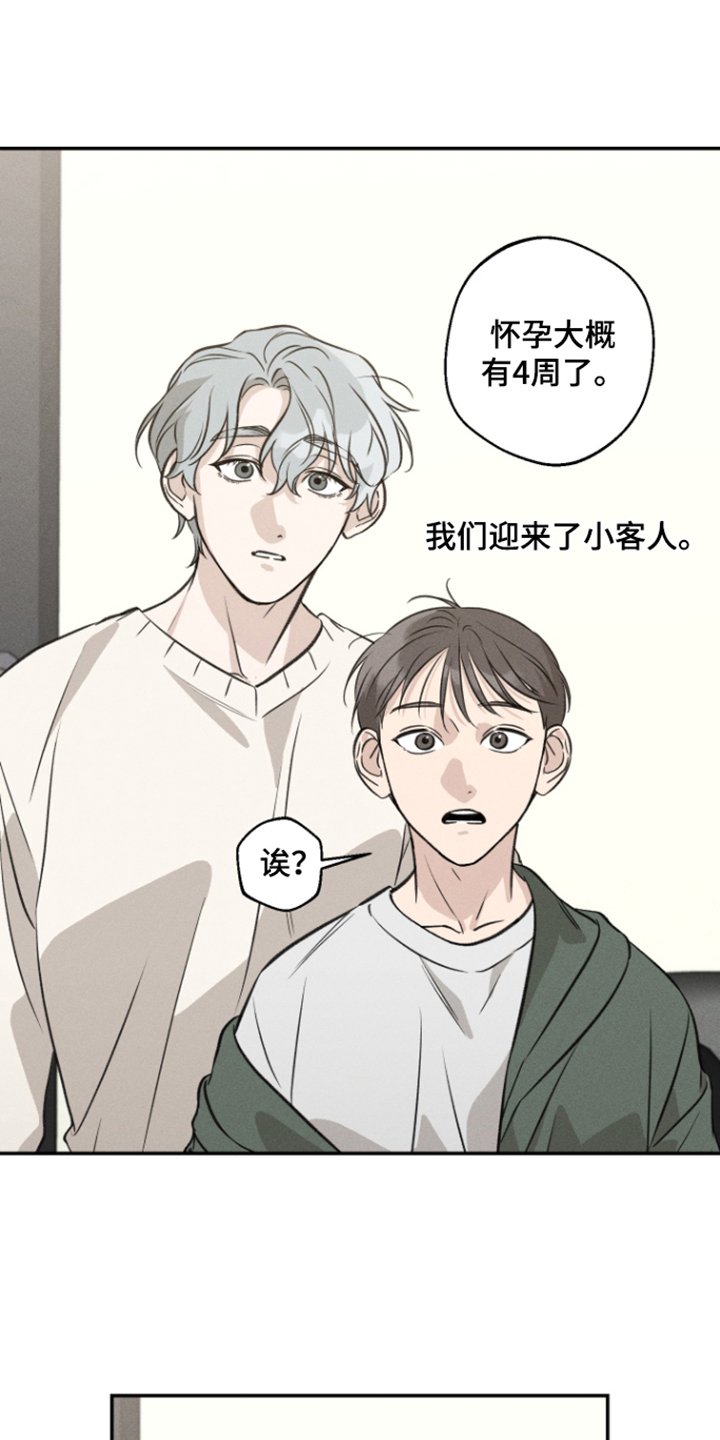 第16话：第16章：孕反预览分镜