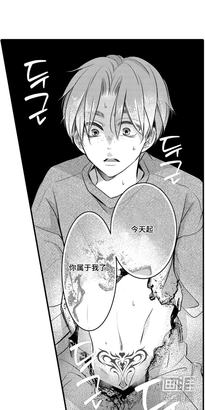 第4话：第4章：纹章预览分镜