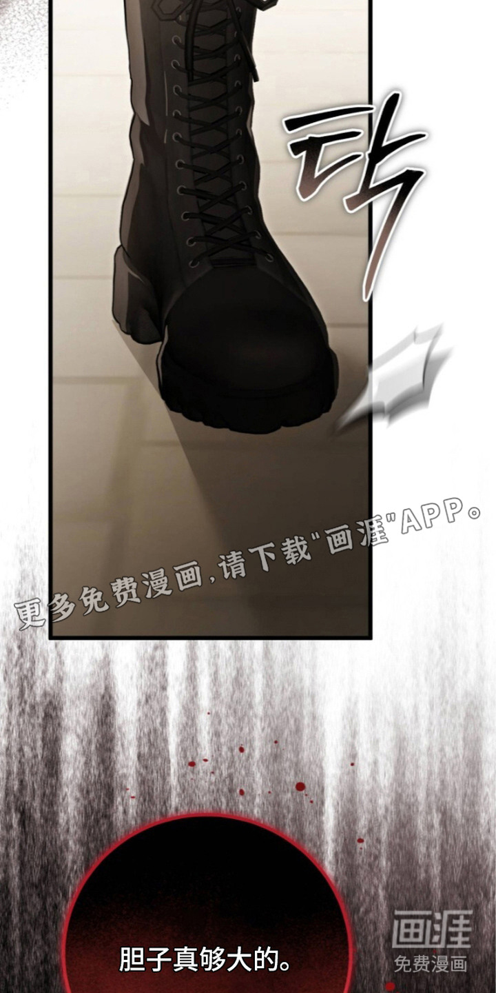 第7话：第7章：黄金草药全集预览分镜