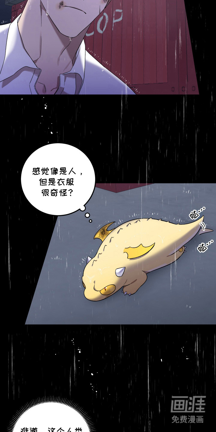 第1话：第1章：捡来的小龙预览分镜