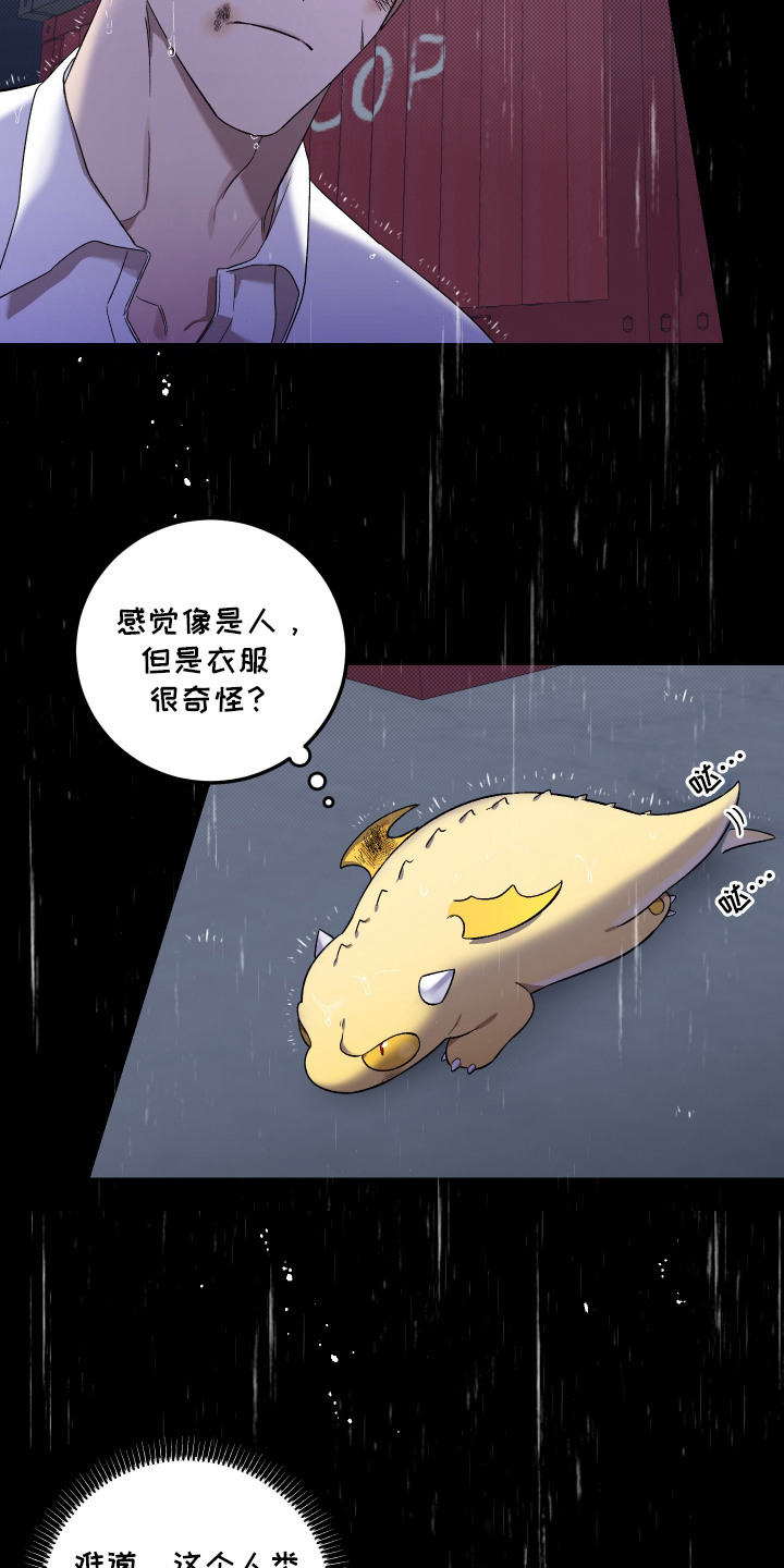 第1话：第1章：捡来的小龙预览分镜