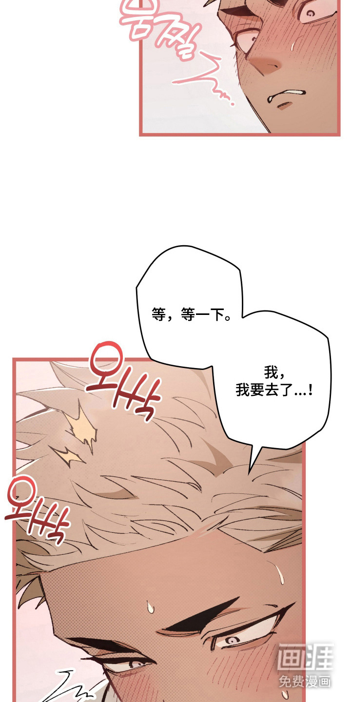 第7话：第7章：很吸引人（完结）预览分镜