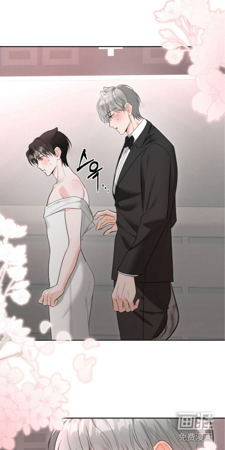 第5话：第5章：拉拉链预览分镜