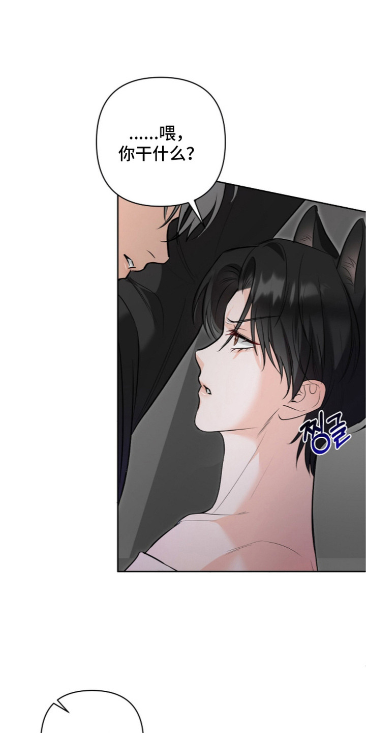 第6话：第6章：最后的条件预览分镜
