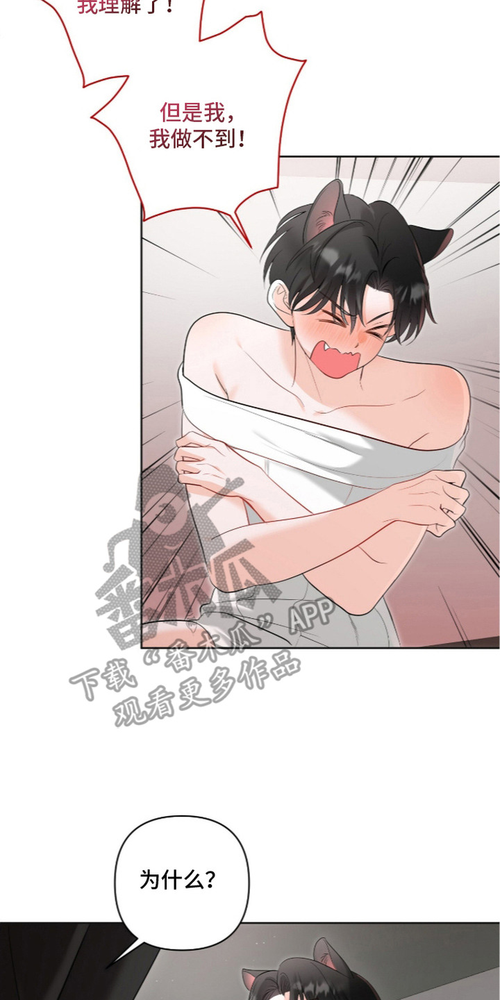 第8话：第8章：不同的爱预览分镜