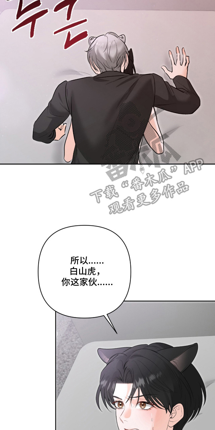 第10话：第10章：迟钝预览分镜