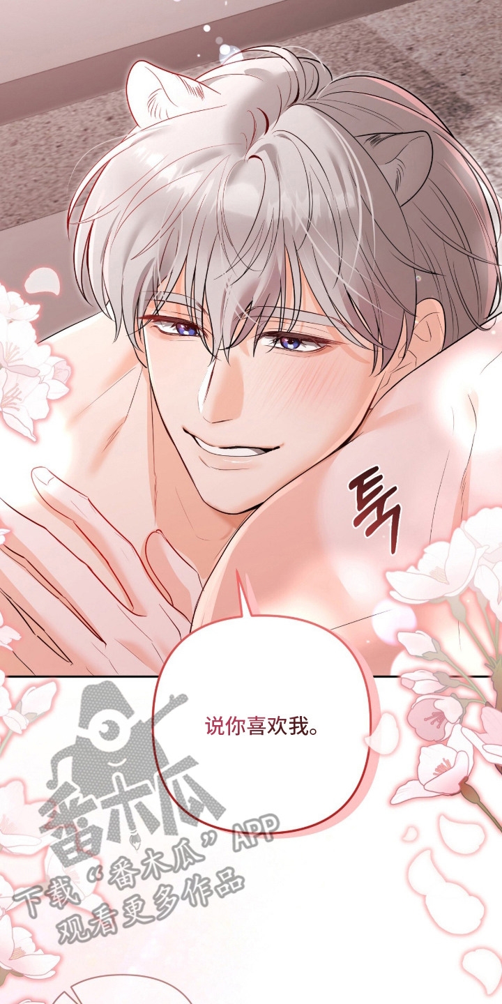 第12话：第12章：很喜欢预览分镜