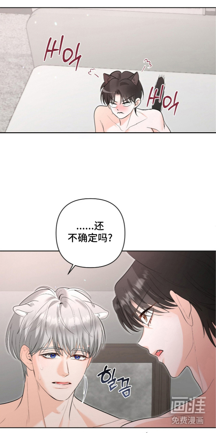 第12话：第12章：落入手中（完结）预览分镜