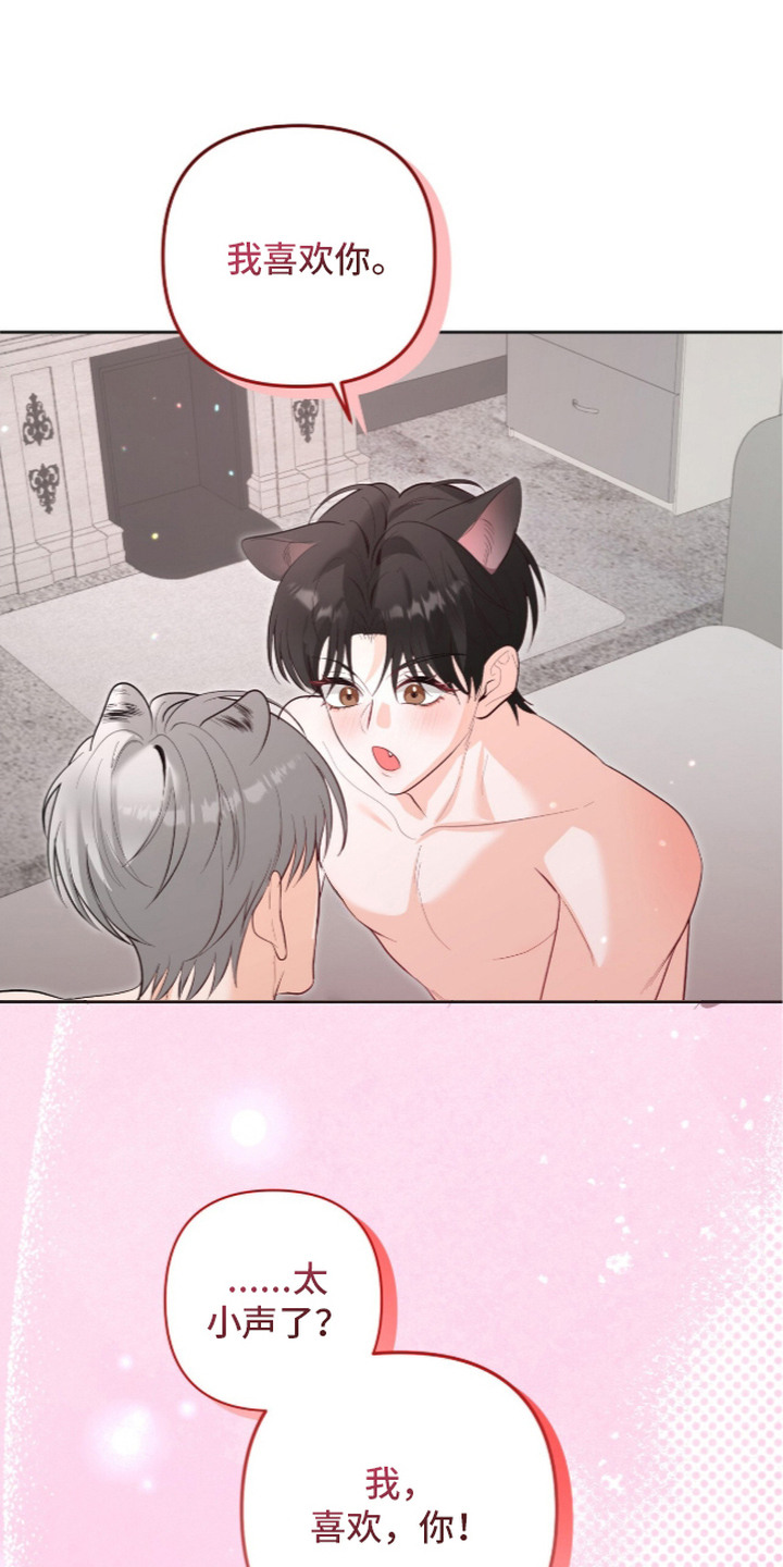 第14话：第14章：落入手中（完结）预览分镜