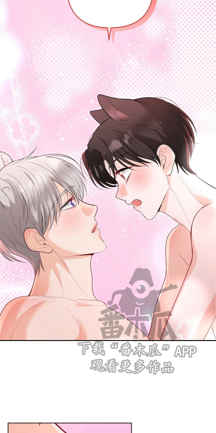 第14话：第14章：落入手中（完结）预览分镜