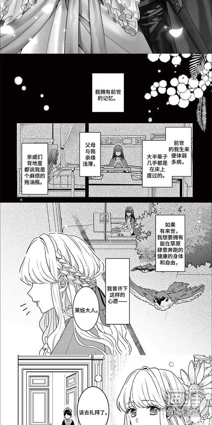 第1话：第1章：无色公主预览分镜
