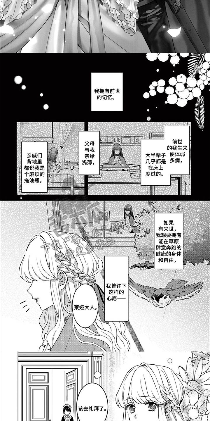 第1话：第1章：无色公主预览分镜