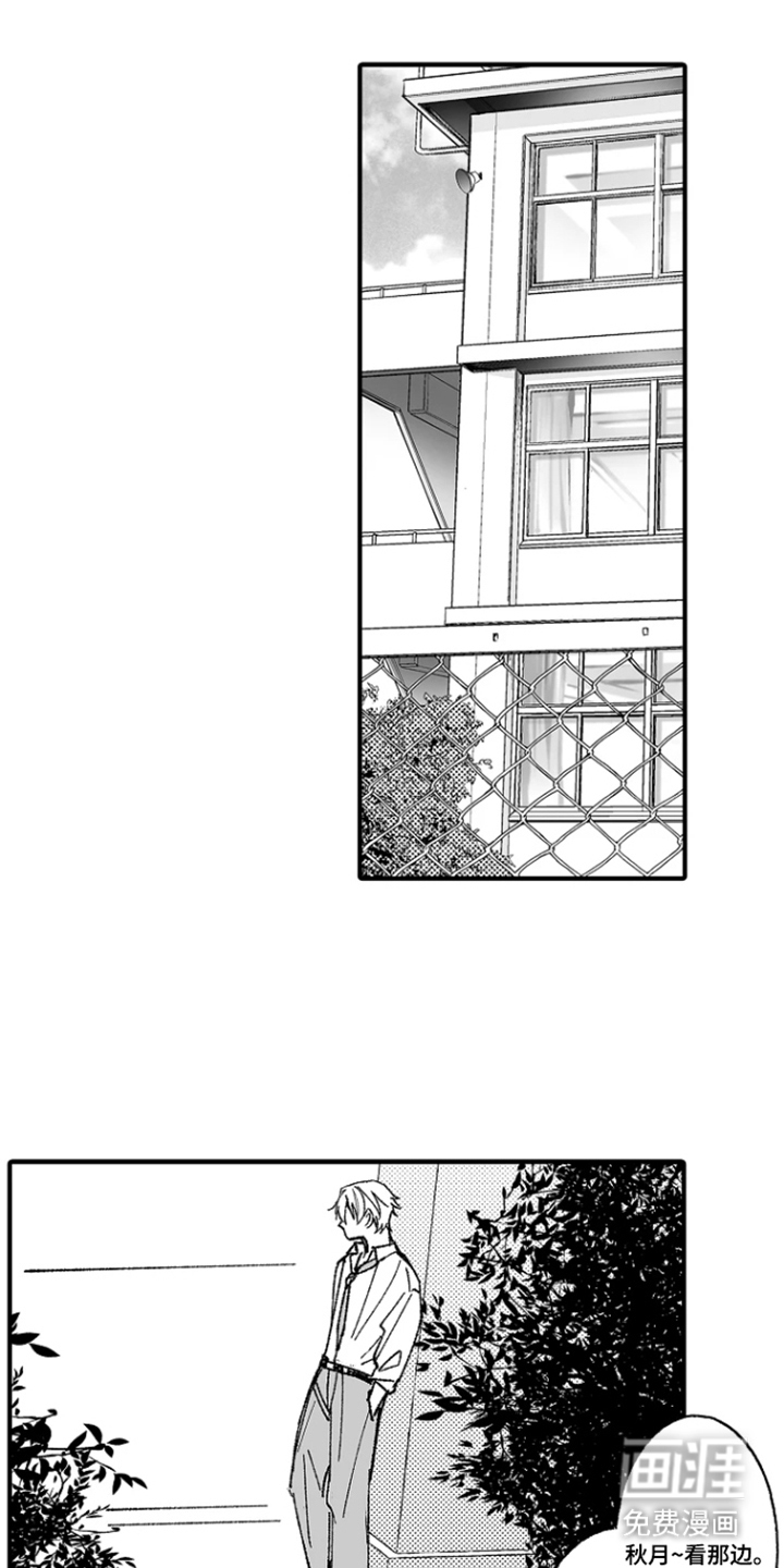 第4话：第4章：太过分了预览分镜