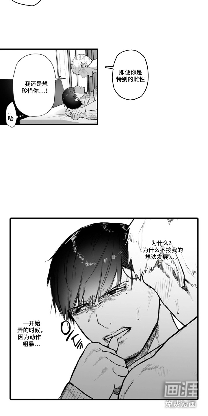 第3话：第3章：缘由预览分镜