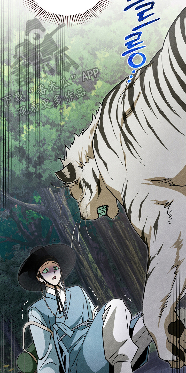 第13话：第13章：老虎预览分镜