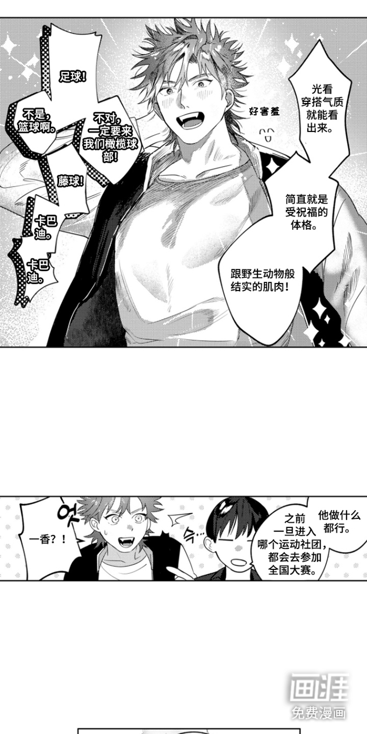 第5话：第5章：什么时候开始的预览分镜