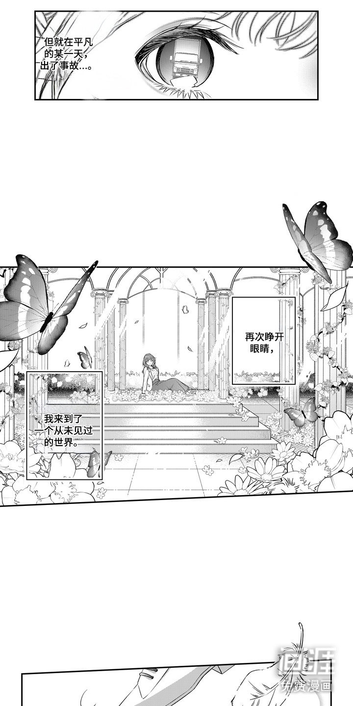 第1话：第1章：从未见过的世界预览分镜