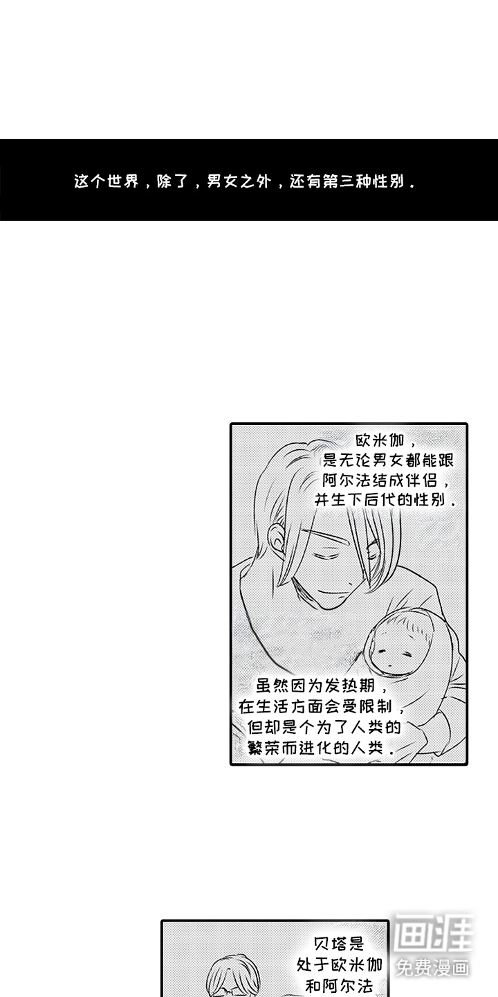 第1话：第1章：完美阿尔法预览分镜