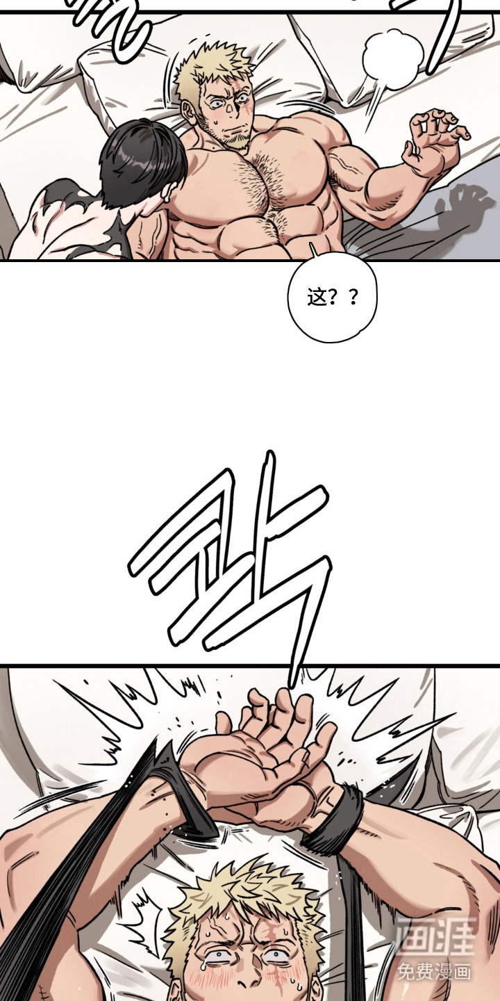 第15话：第15章：最佳拍档（完结）预览分镜