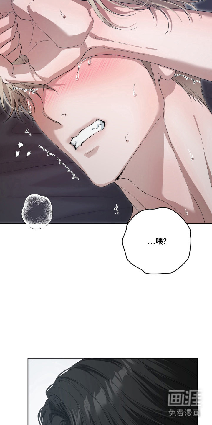 第11话：第11章：为什么预览分镜
