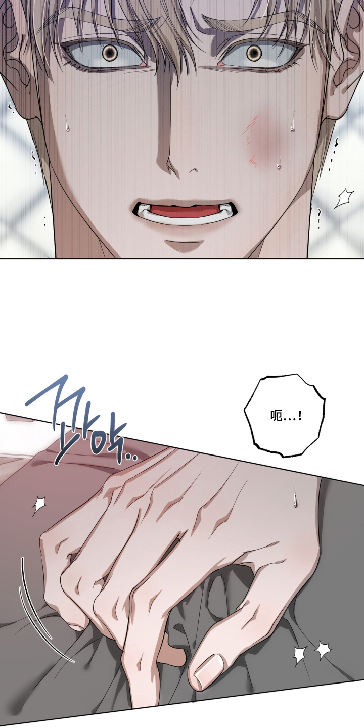 第6话：第6章：最喜欢哥预览分镜