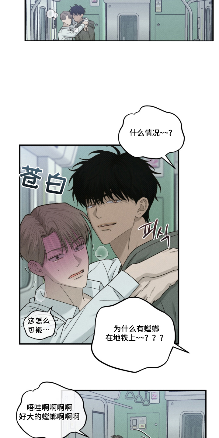 第11话：第11章：车门即将关闭（完结）预览分镜