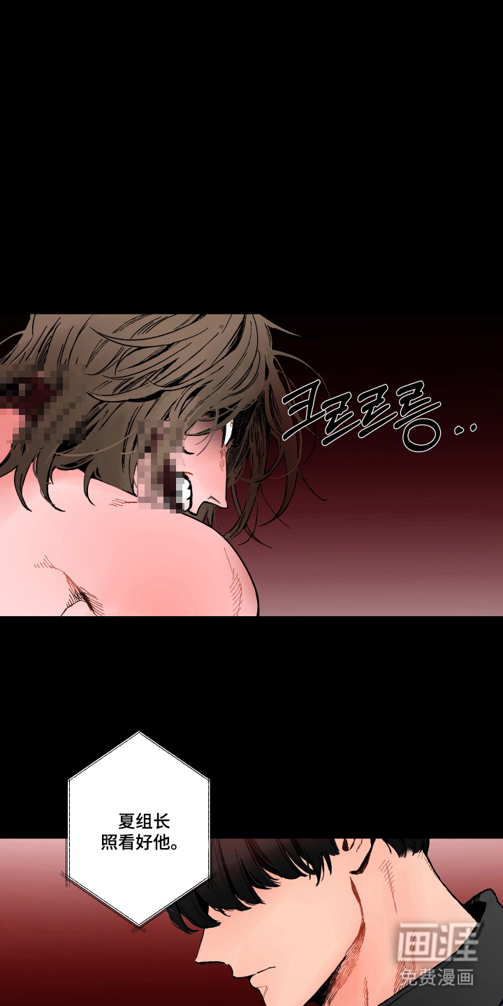第4话：第4章：六面体预览分镜