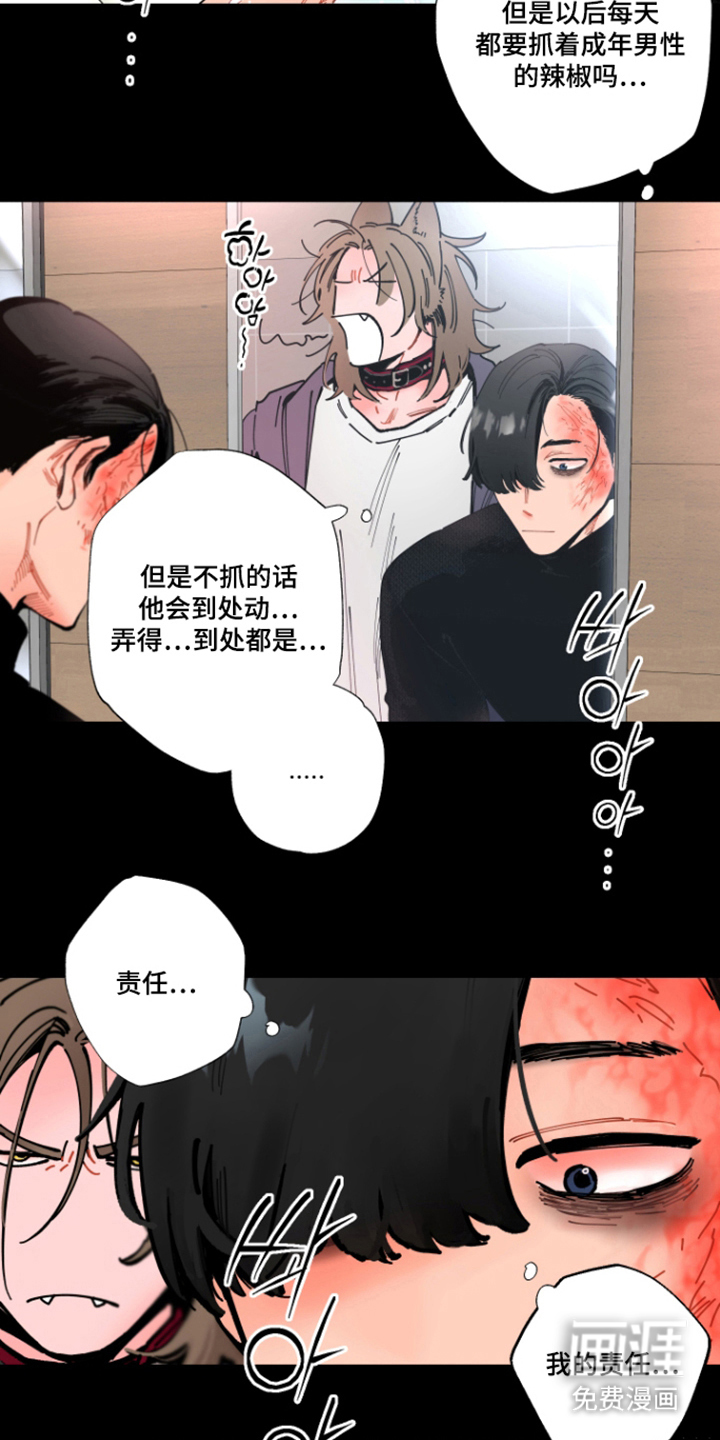 第11话：第11章：我的责任预览分镜
